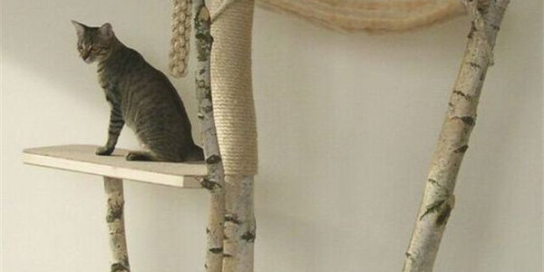 Cat Condos - The Perfect Alternative to Your Cat Sleeping on Your Pillow