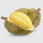 durian delivery in singapore