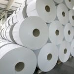 Asia Pulp and Paper