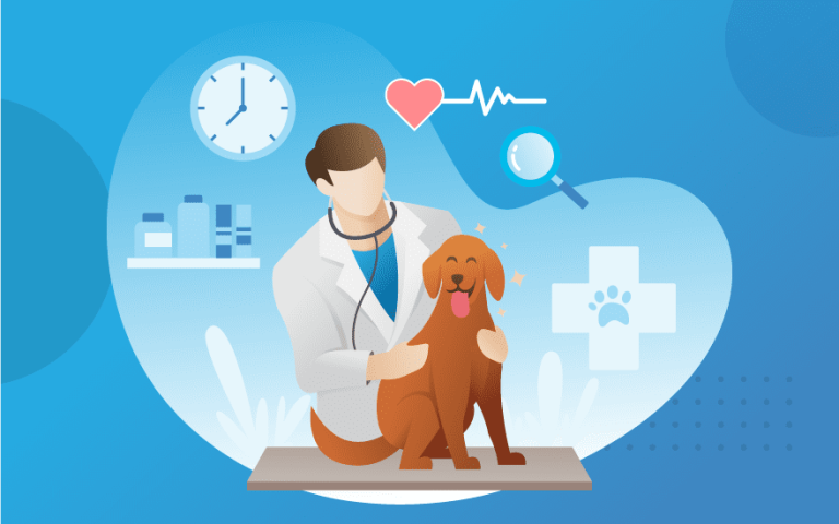 Are emergency veterinary services available 24/7?