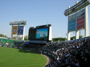 Baseball Stadium Shirt Room